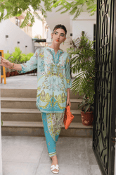 Woman in a light blue embroidered outfit standing outdoors with plants and steps in the background