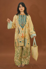 Woman wearing Farshi salware  a traditional outfit with intricate patterns on a brown background