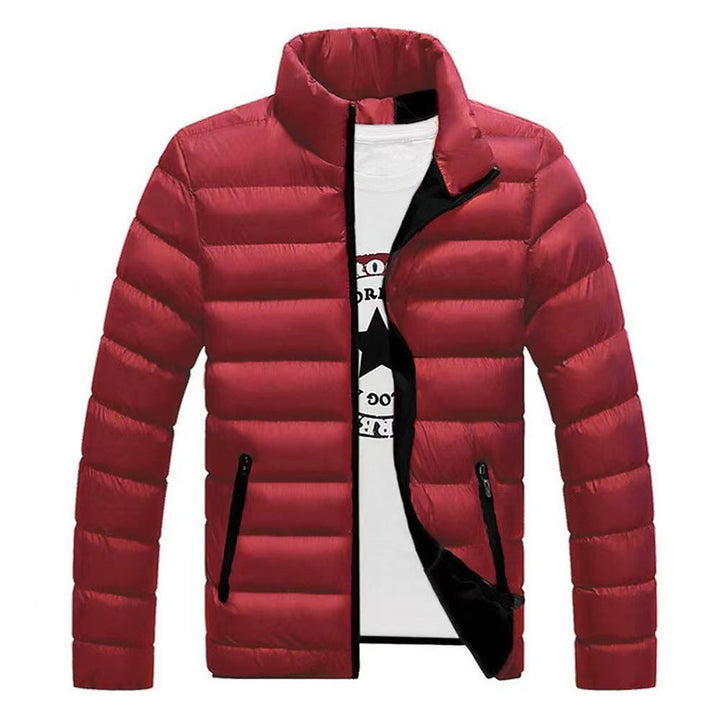 Reinhold - Men's Lined Puffer Jacket with a High Collar – view 4